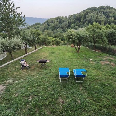 Căpăţîneni-Ungureni Vila Ella 빌라 외부 사진