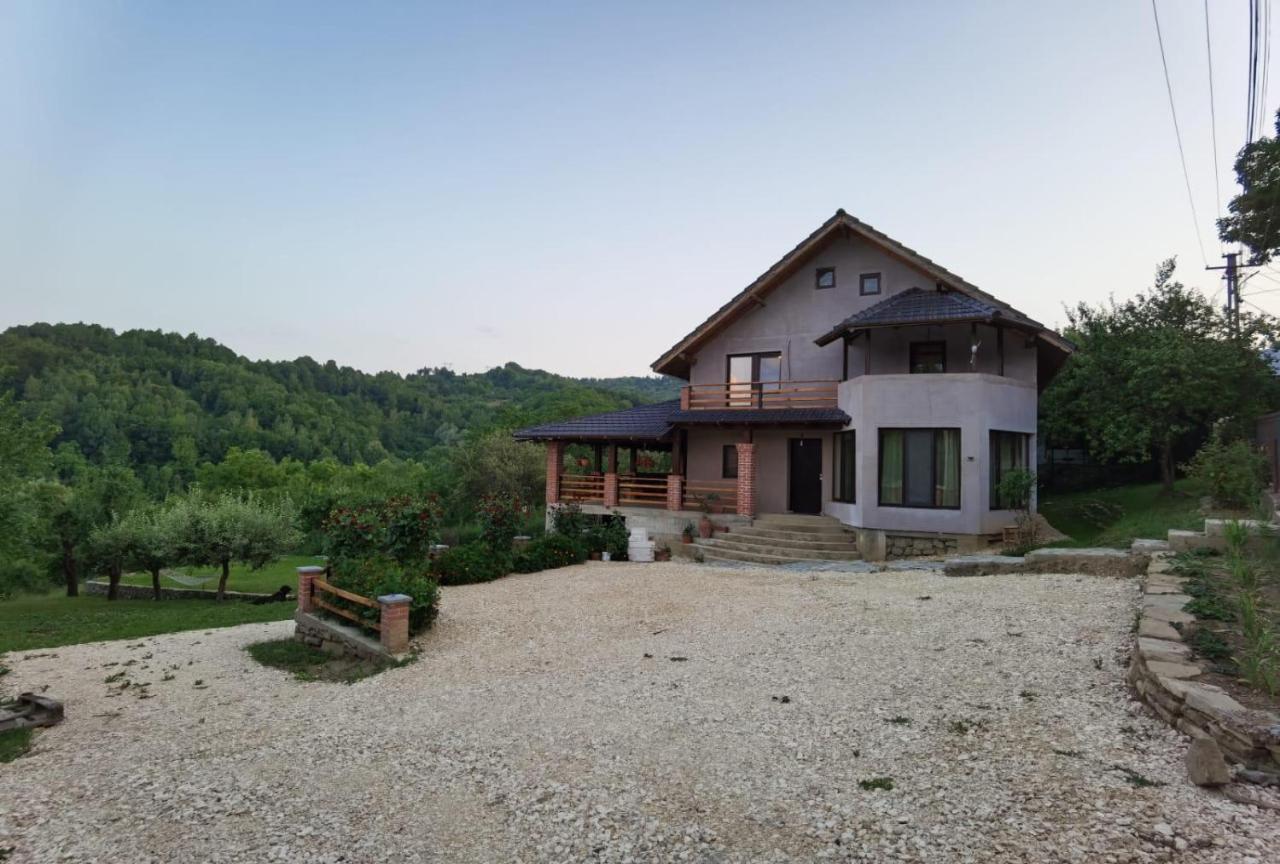 Căpăţîneni-Ungureni Vila Ella 빌라 외부 사진